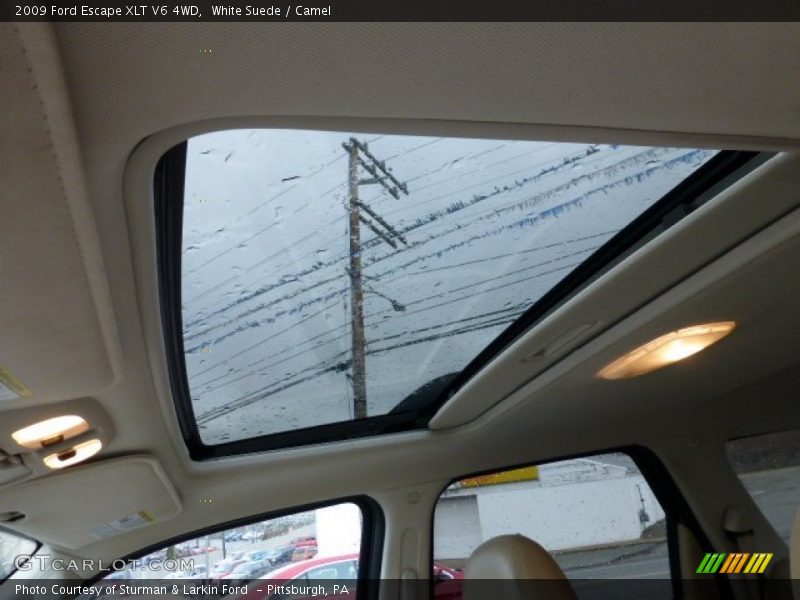 White Suede / Camel 2009 Ford Escape XLT V6 4WD