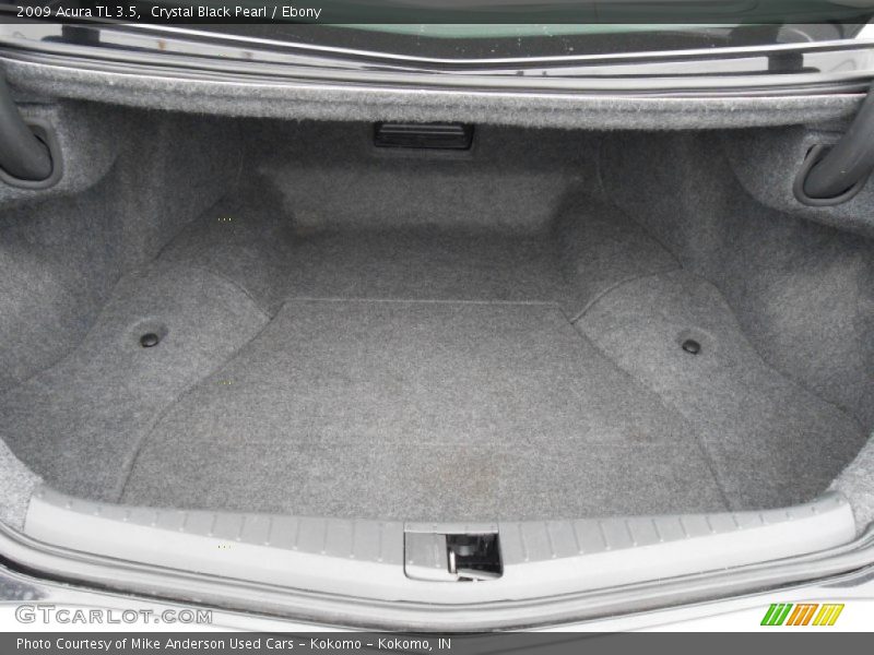Crystal Black Pearl / Ebony 2009 Acura TL 3.5