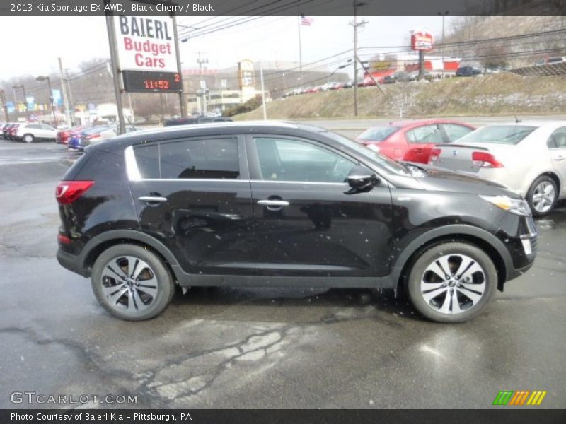 Black Cherry / Black 2013 Kia Sportage EX AWD