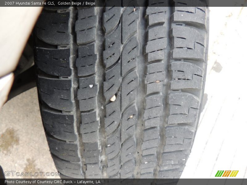 Golden Beige / Beige 2007 Hyundai Santa Fe GLS