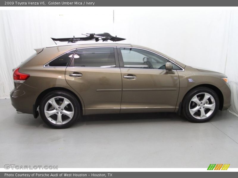  2009 Venza V6 Golden Umber Mica