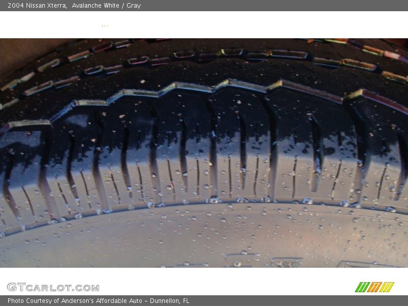 Avalanche White / Gray 2004 Nissan Xterra