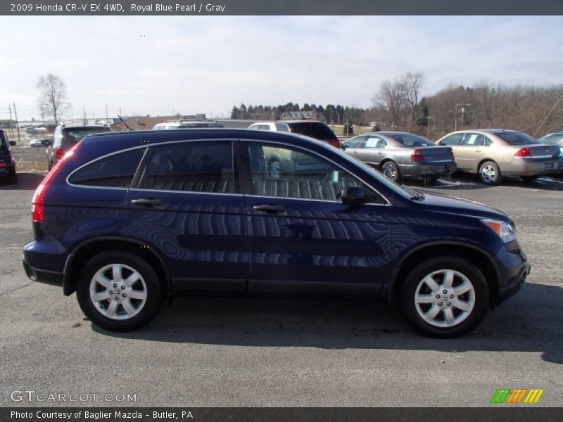 Royal Blue Pearl / Gray 2009 Honda CR-V EX 4WD