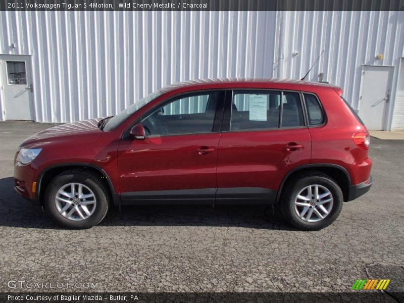 Wild Cherry Metallic / Charcoal 2011 Volkswagen Tiguan S 4Motion