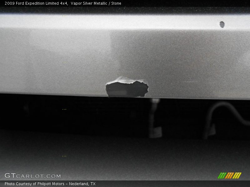 Vapor Silver Metallic / Stone 2009 Ford Expedition Limited 4x4
