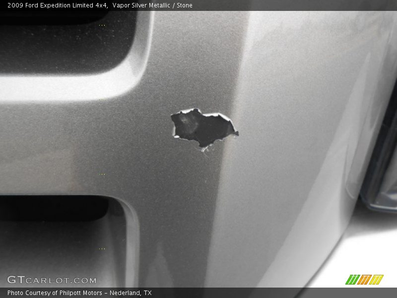 Vapor Silver Metallic / Stone 2009 Ford Expedition Limited 4x4