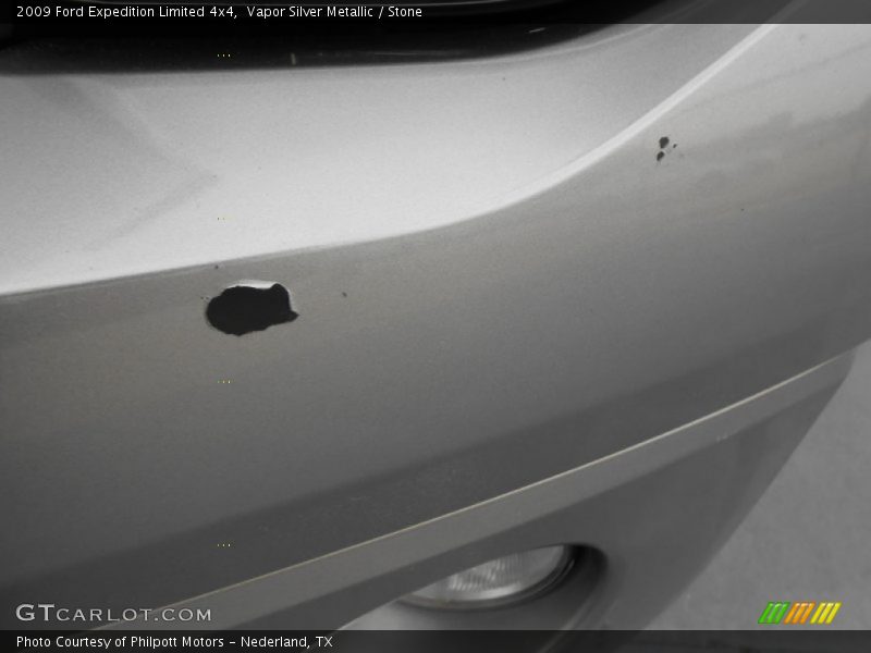 Vapor Silver Metallic / Stone 2009 Ford Expedition Limited 4x4