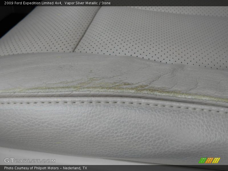 Vapor Silver Metallic / Stone 2009 Ford Expedition Limited 4x4