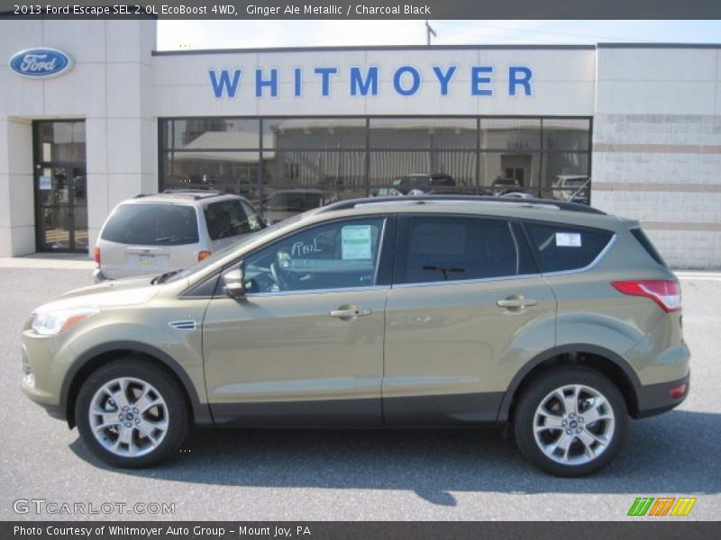 Ginger Ale Metallic / Charcoal Black 2013 Ford Escape SEL 2.0L EcoBoost 4WD
