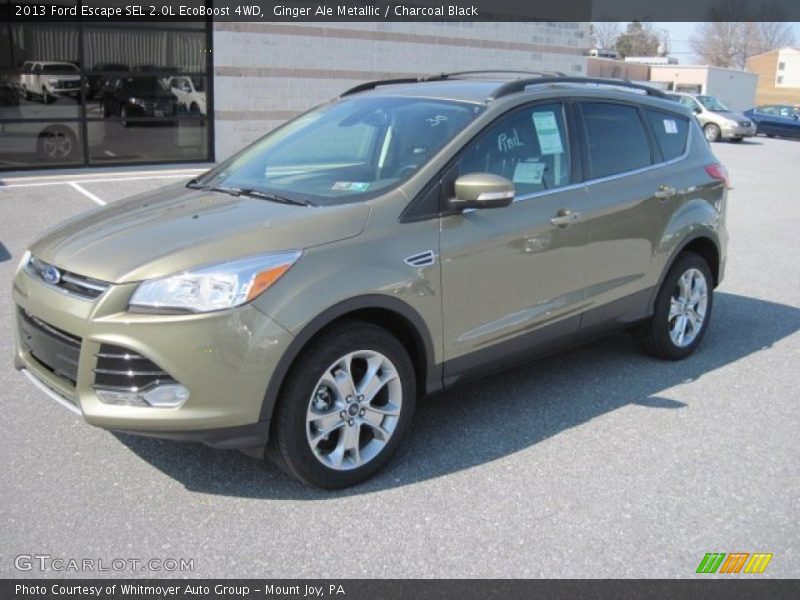 Ginger Ale Metallic / Charcoal Black 2013 Ford Escape SEL 2.0L EcoBoost 4WD