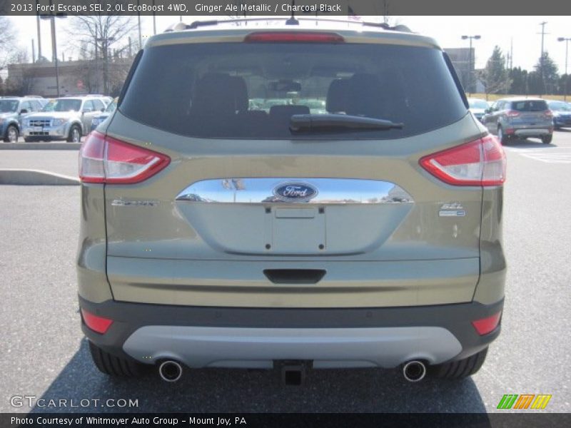 Ginger Ale Metallic / Charcoal Black 2013 Ford Escape SEL 2.0L EcoBoost 4WD