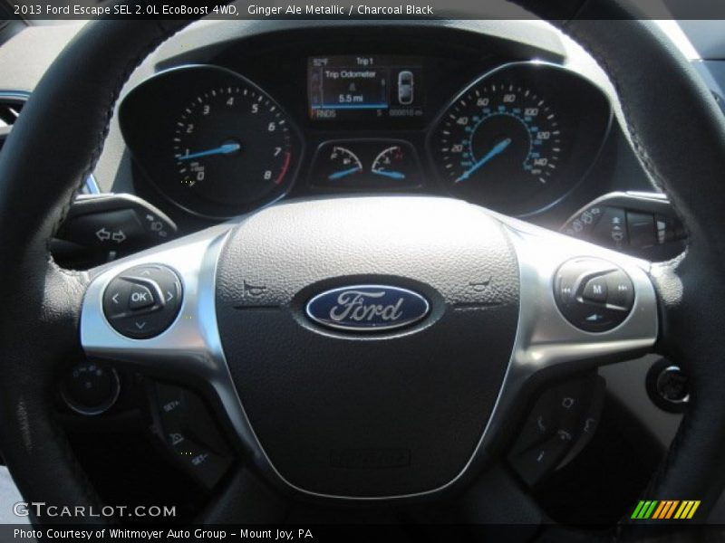 Ginger Ale Metallic / Charcoal Black 2013 Ford Escape SEL 2.0L EcoBoost 4WD