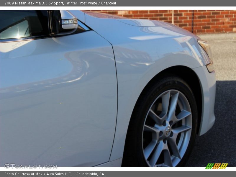 Winter Frost White / Charcoal 2009 Nissan Maxima 3.5 SV Sport