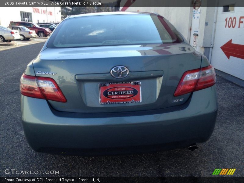 Aloe Green Metallic / Bisque 2009 Toyota Camry XLE