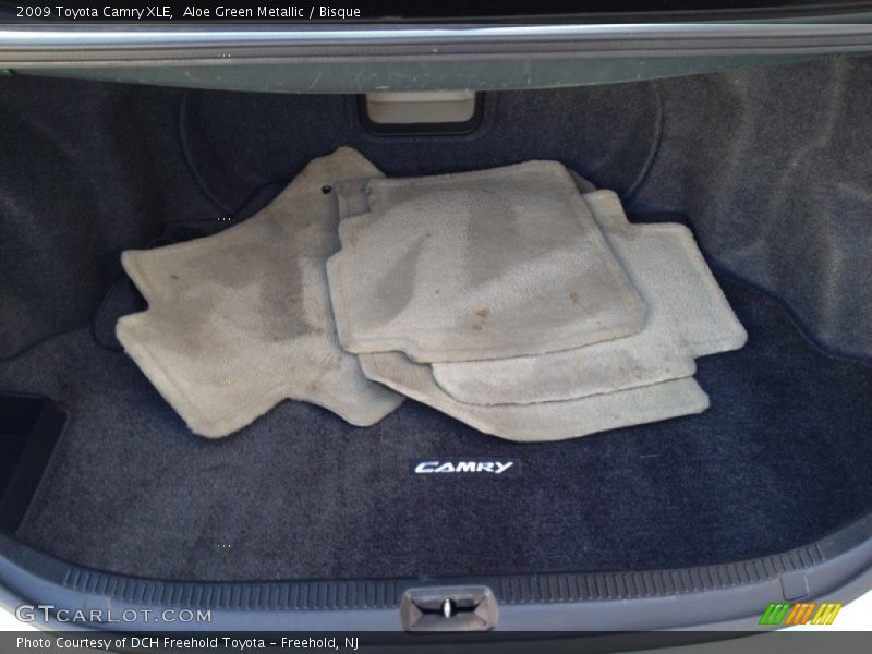Aloe Green Metallic / Bisque 2009 Toyota Camry XLE
