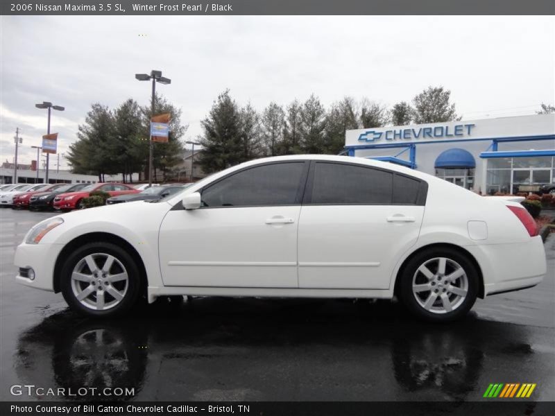 Winter Frost Pearl / Black 2006 Nissan Maxima 3.5 SL