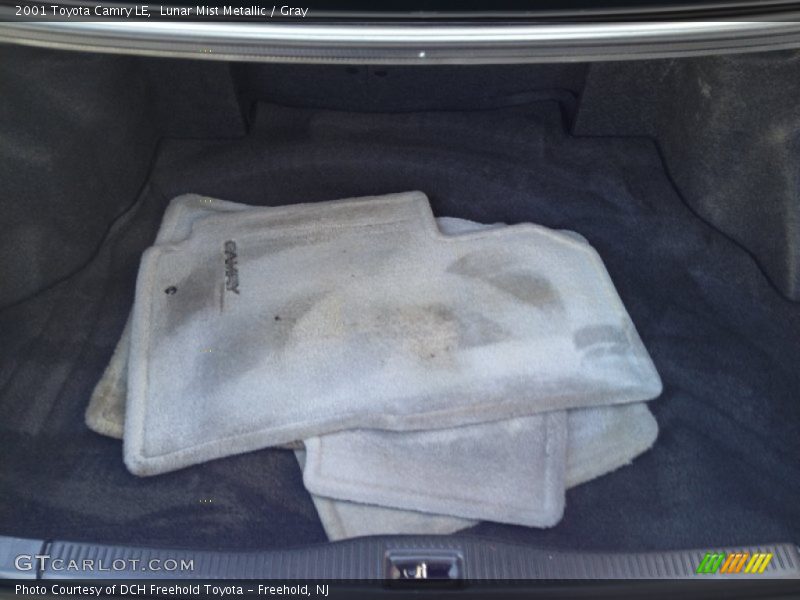 Lunar Mist Metallic / Gray 2001 Toyota Camry LE