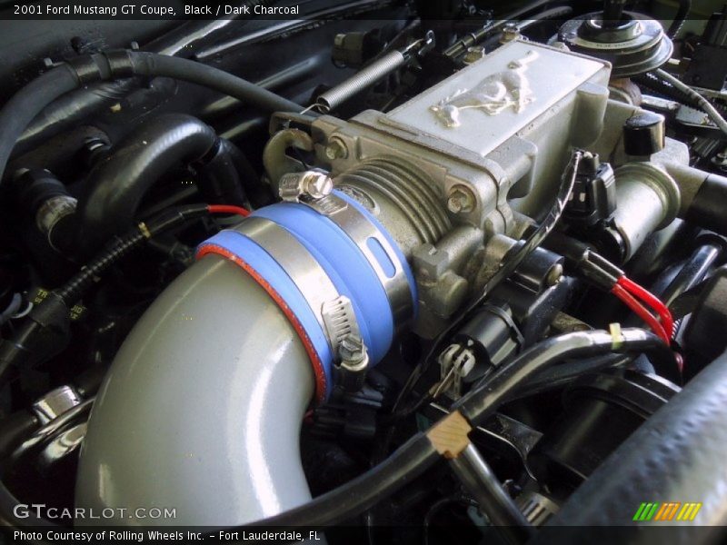 Black / Dark Charcoal 2001 Ford Mustang GT Coupe
