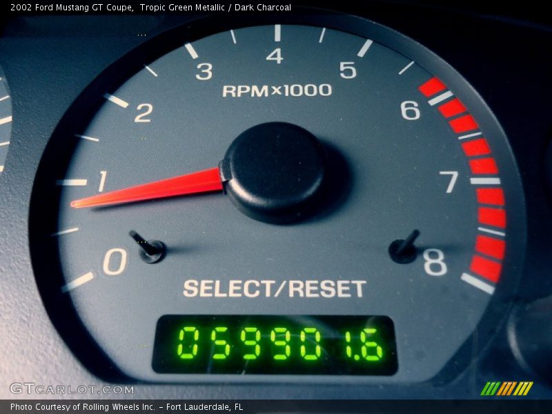 Tropic Green Metallic / Dark Charcoal 2002 Ford Mustang GT Coupe
