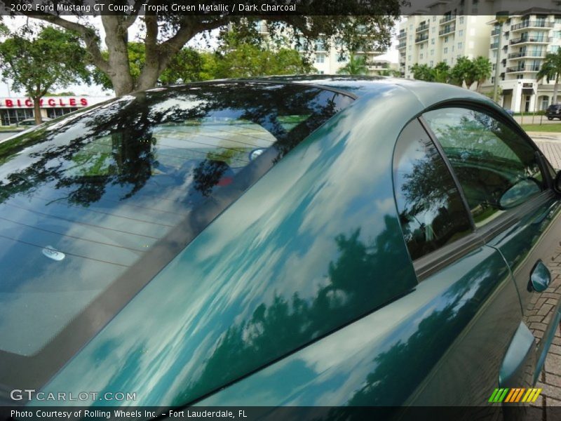 Tropic Green Metallic / Dark Charcoal 2002 Ford Mustang GT Coupe