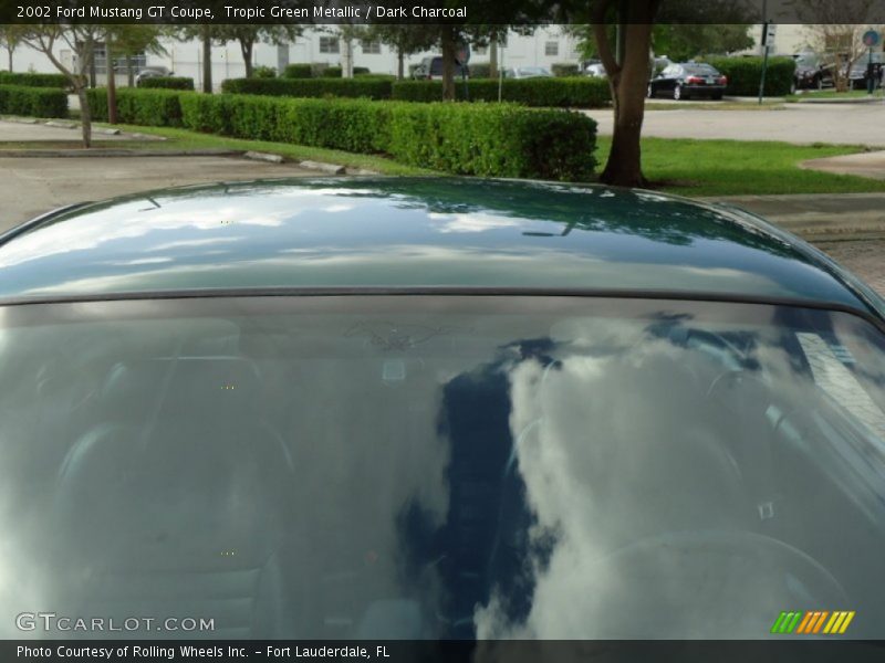 Tropic Green Metallic / Dark Charcoal 2002 Ford Mustang GT Coupe