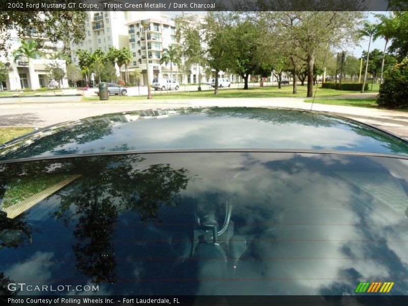Tropic Green Metallic / Dark Charcoal 2002 Ford Mustang GT Coupe