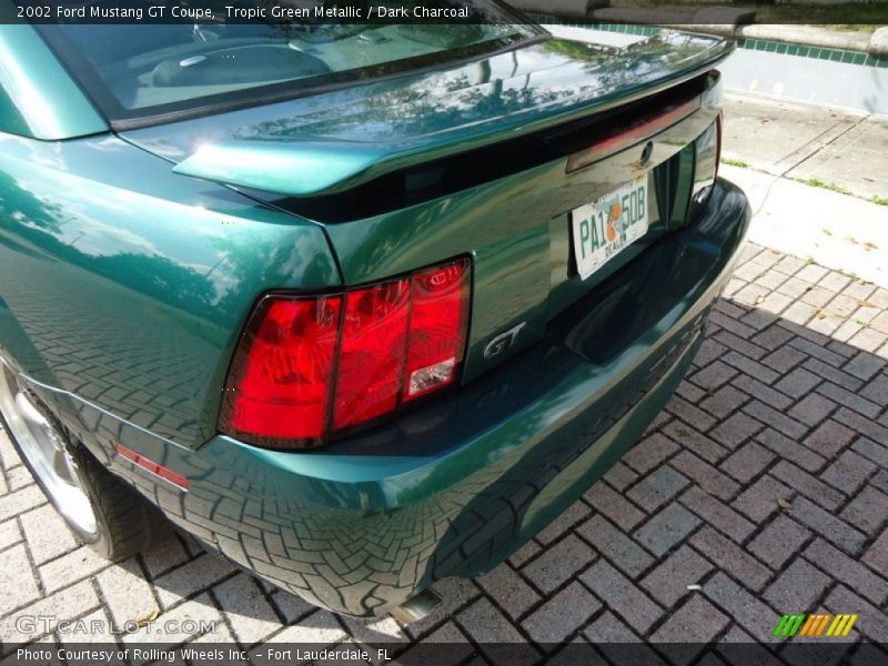 Tropic Green Metallic / Dark Charcoal 2002 Ford Mustang GT Coupe
