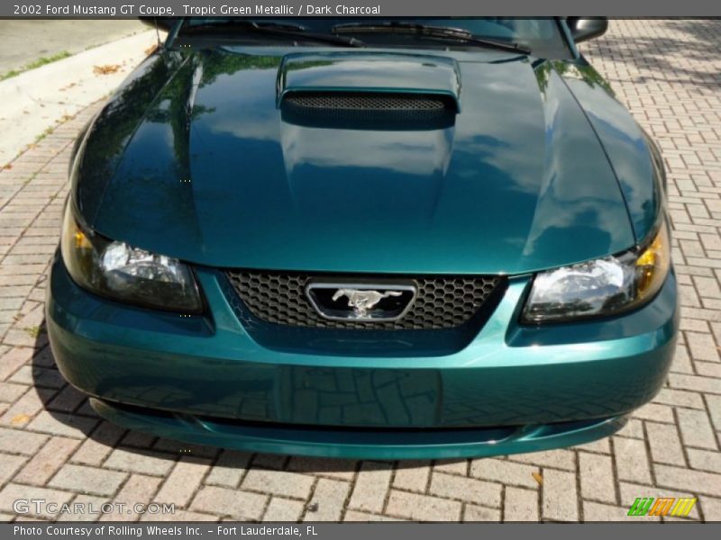 Tropic Green Metallic / Dark Charcoal 2002 Ford Mustang GT Coupe