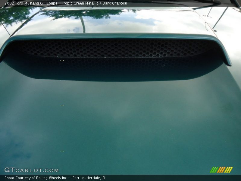 Tropic Green Metallic / Dark Charcoal 2002 Ford Mustang GT Coupe