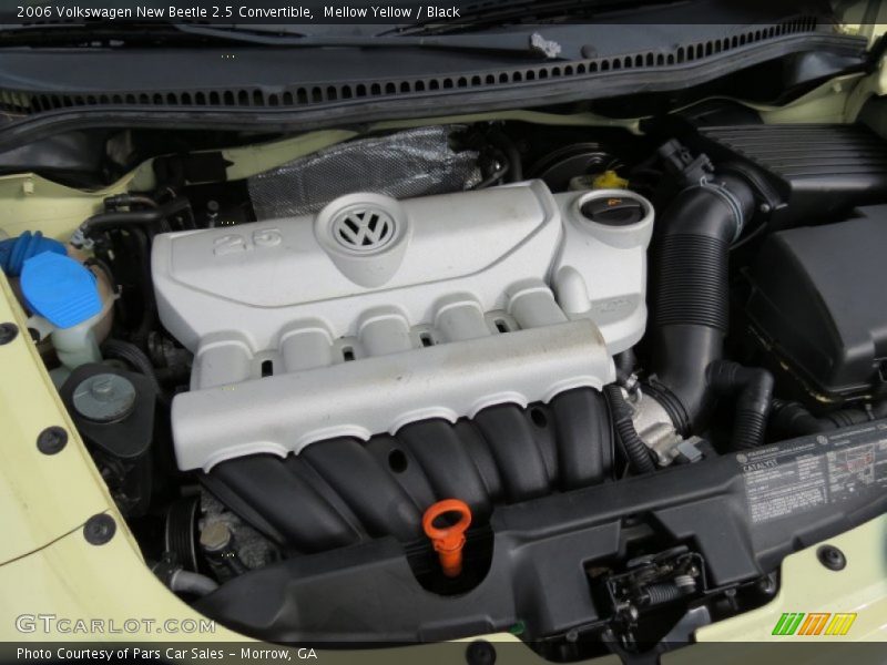 Mellow Yellow / Black 2006 Volkswagen New Beetle 2.5 Convertible