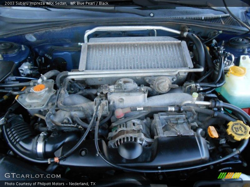 WR Blue Pearl / Black 2003 Subaru Impreza WRX Sedan