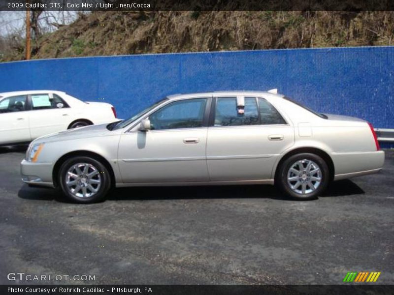 Gold Mist / Light Linen/Cocoa 2009 Cadillac DTS