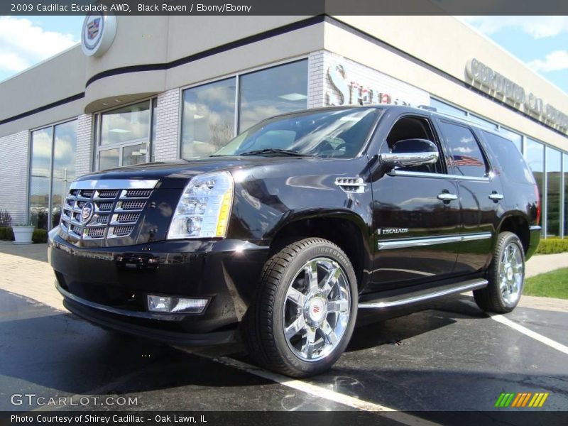 Black Raven / Ebony/Ebony 2009 Cadillac Escalade AWD