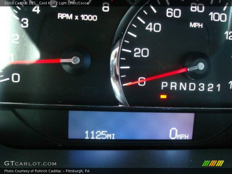 Gold Mist / Light Linen/Cocoa 2009 Cadillac DTS