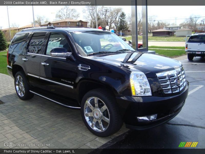 Black Raven / Ebony/Ebony 2009 Cadillac Escalade AWD