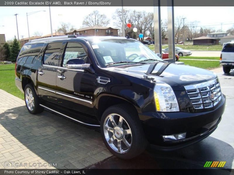 Black Raven / Ebony/Ebony 2009 Cadillac Escalade ESV AWD