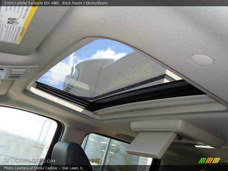 Black Raven / Ebony/Ebony 2009 Cadillac Escalade ESV AWD