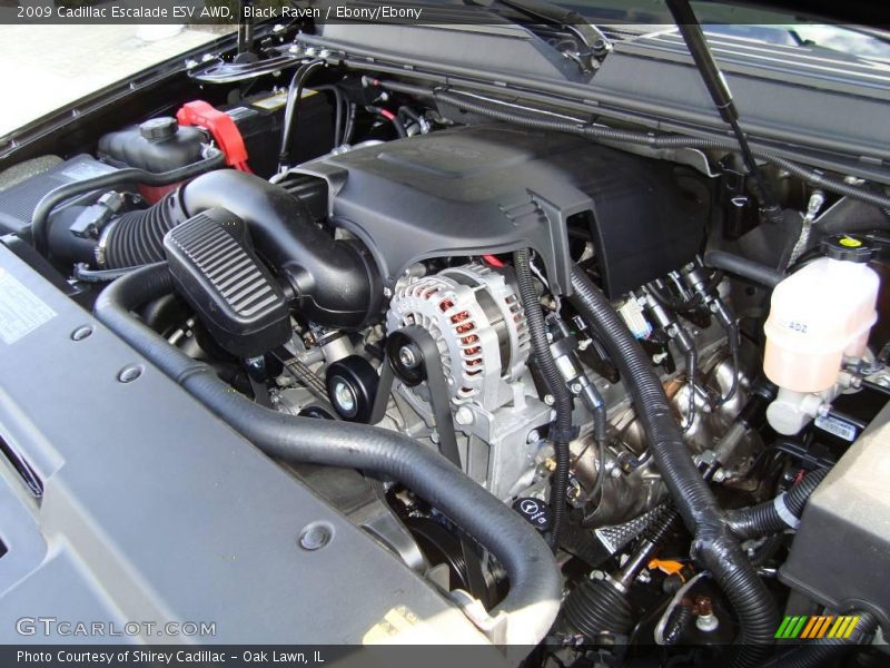 Black Raven / Ebony/Ebony 2009 Cadillac Escalade ESV AWD