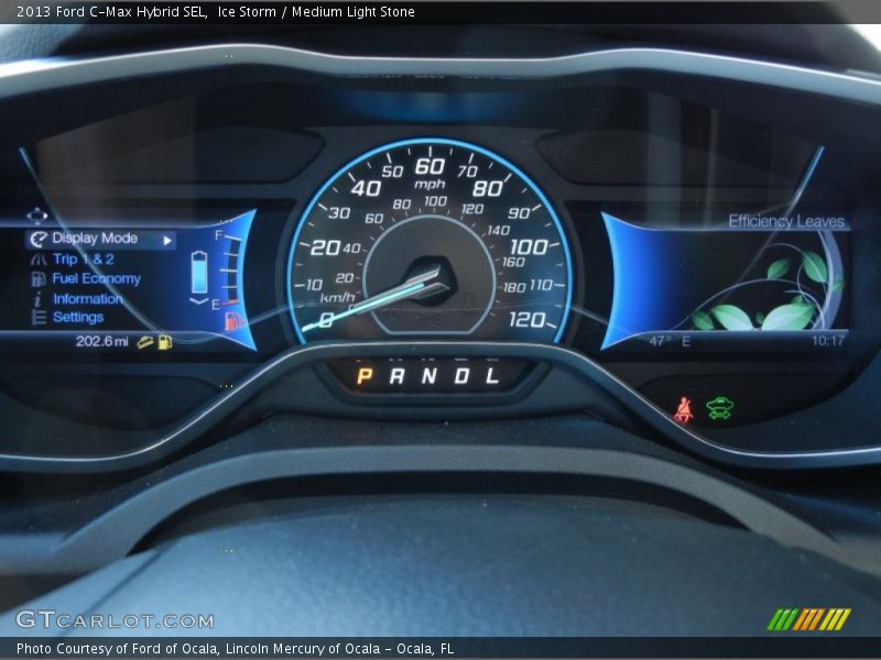  2013 C-Max Hybrid SEL Hybrid SEL Gauges