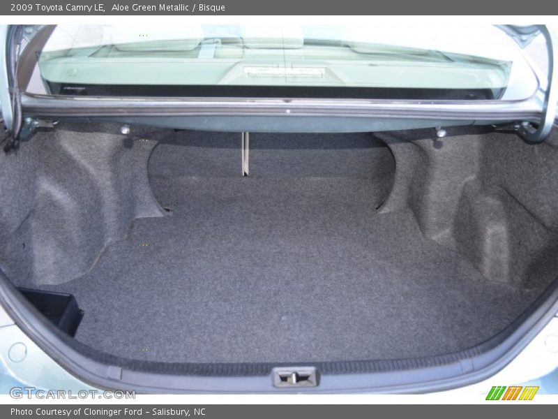 Aloe Green Metallic / Bisque 2009 Toyota Camry LE