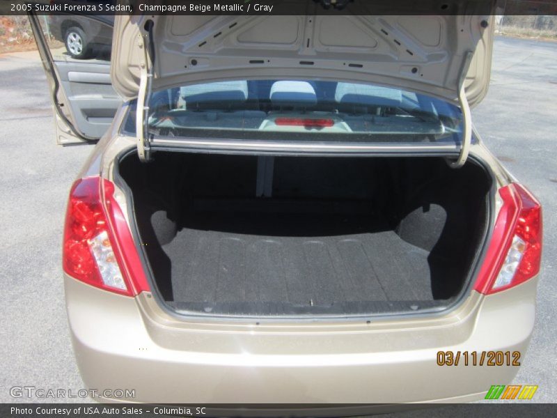 Champagne Beige Metallic / Gray 2005 Suzuki Forenza S Sedan
