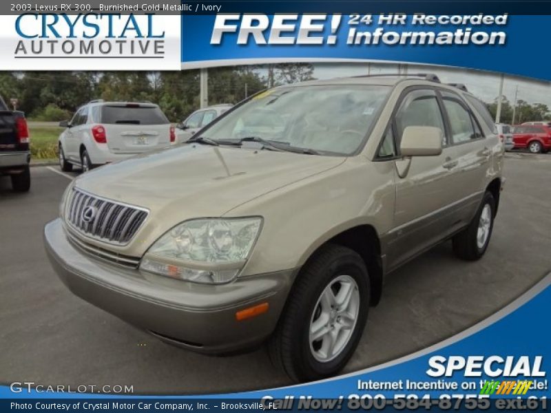 Burnished Gold Metallic / Ivory 2003 Lexus RX 300