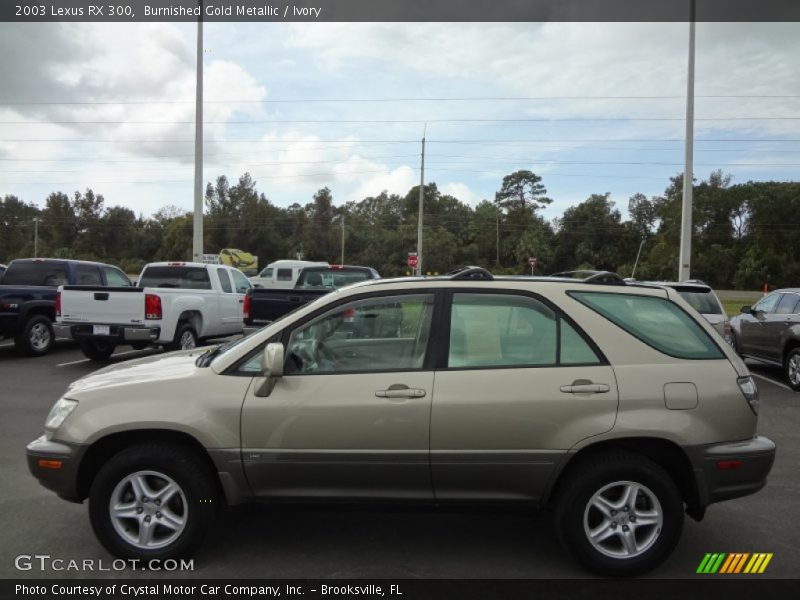Burnished Gold Metallic / Ivory 2003 Lexus RX 300