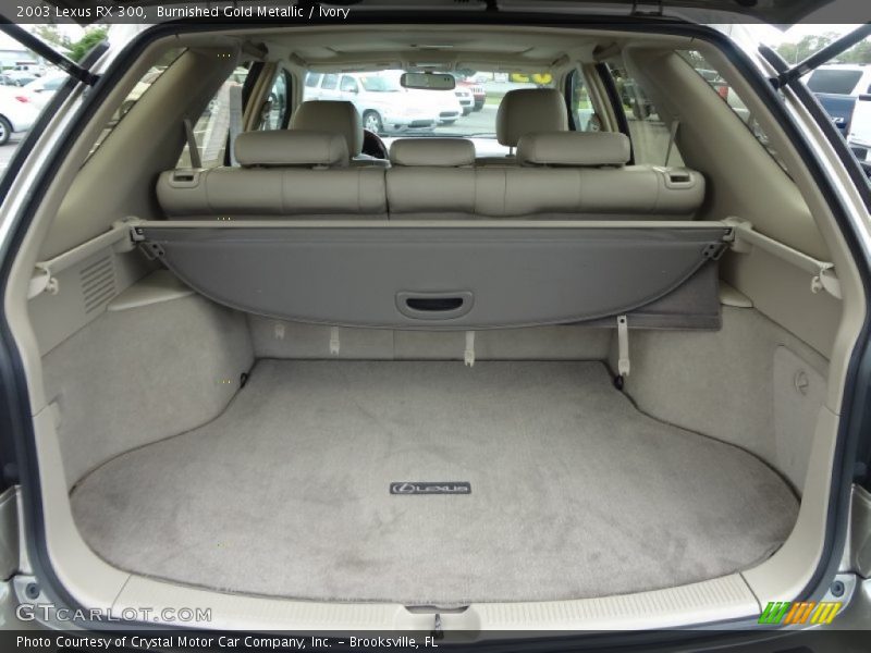 Burnished Gold Metallic / Ivory 2003 Lexus RX 300