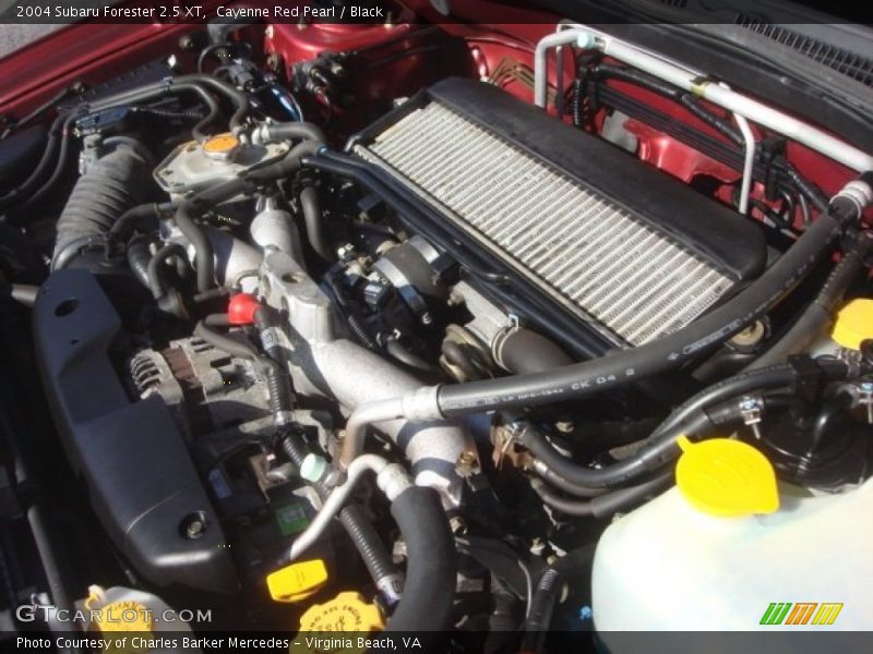 Cayenne Red Pearl / Black 2004 Subaru Forester 2.5 XT
