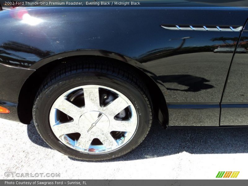 Evening Black / Midnight Black 2002 Ford Thunderbird Premium Roadster