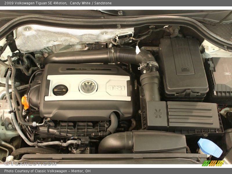 Candy White / Sandstone 2009 Volkswagen Tiguan SE 4Motion