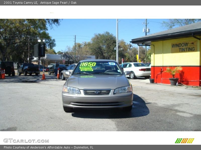Antique Sage Pearl / Oak 2001 Toyota Camry LE