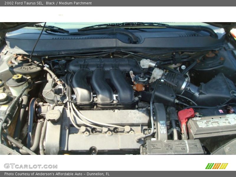 Black / Medium Parchment 2002 Ford Taurus SEL