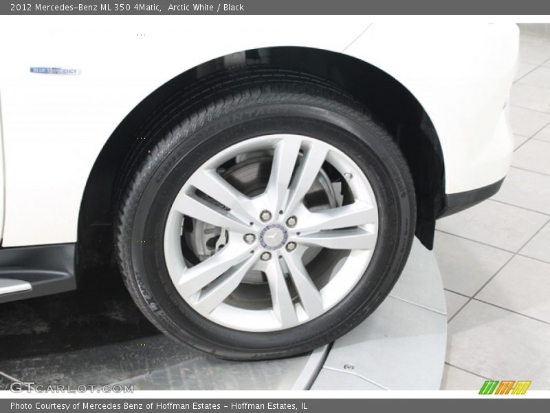 Arctic White / Black 2012 Mercedes-Benz ML 350 4Matic